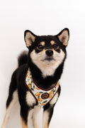 LEMON Harness