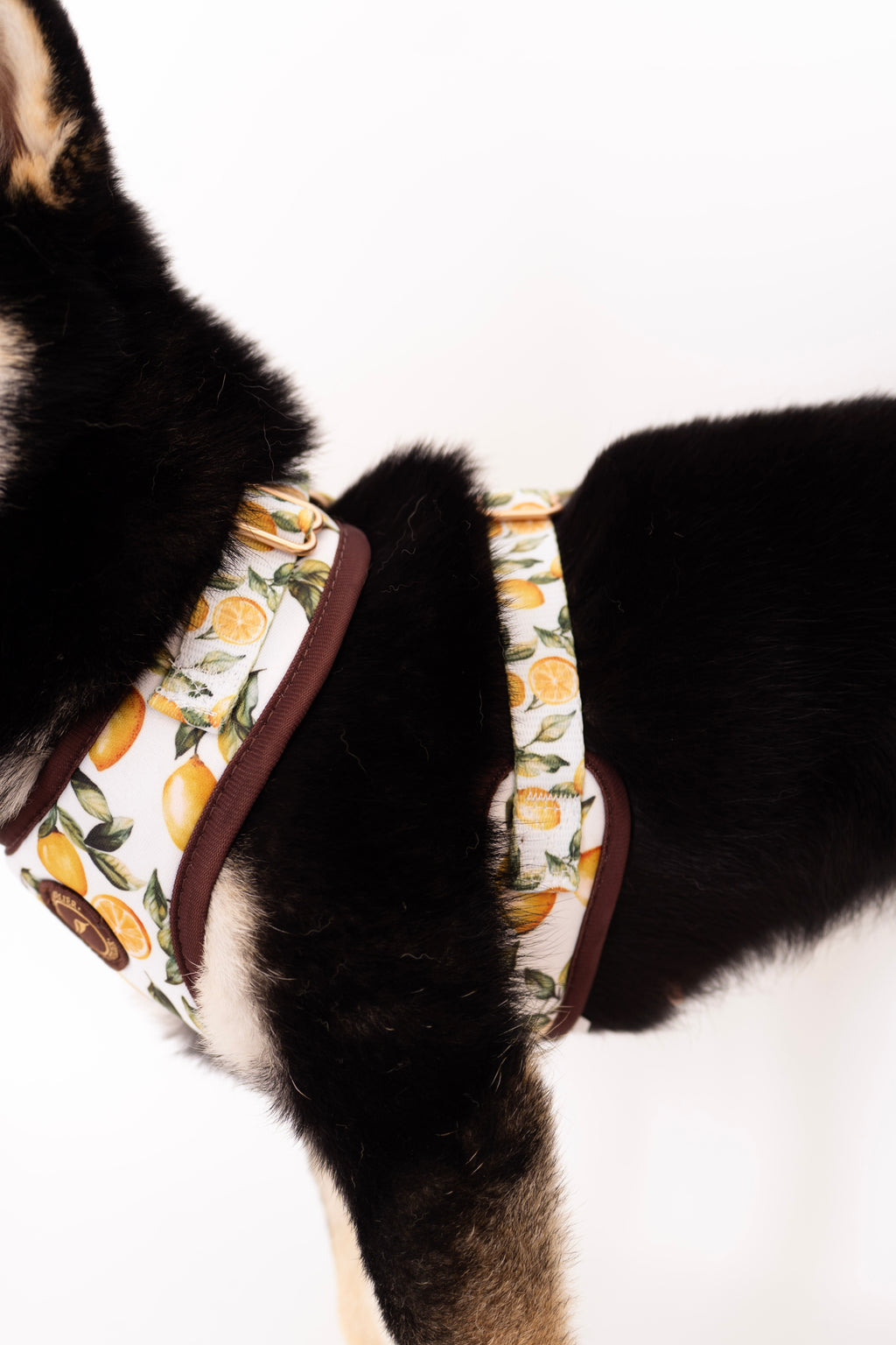 LEMON Harness