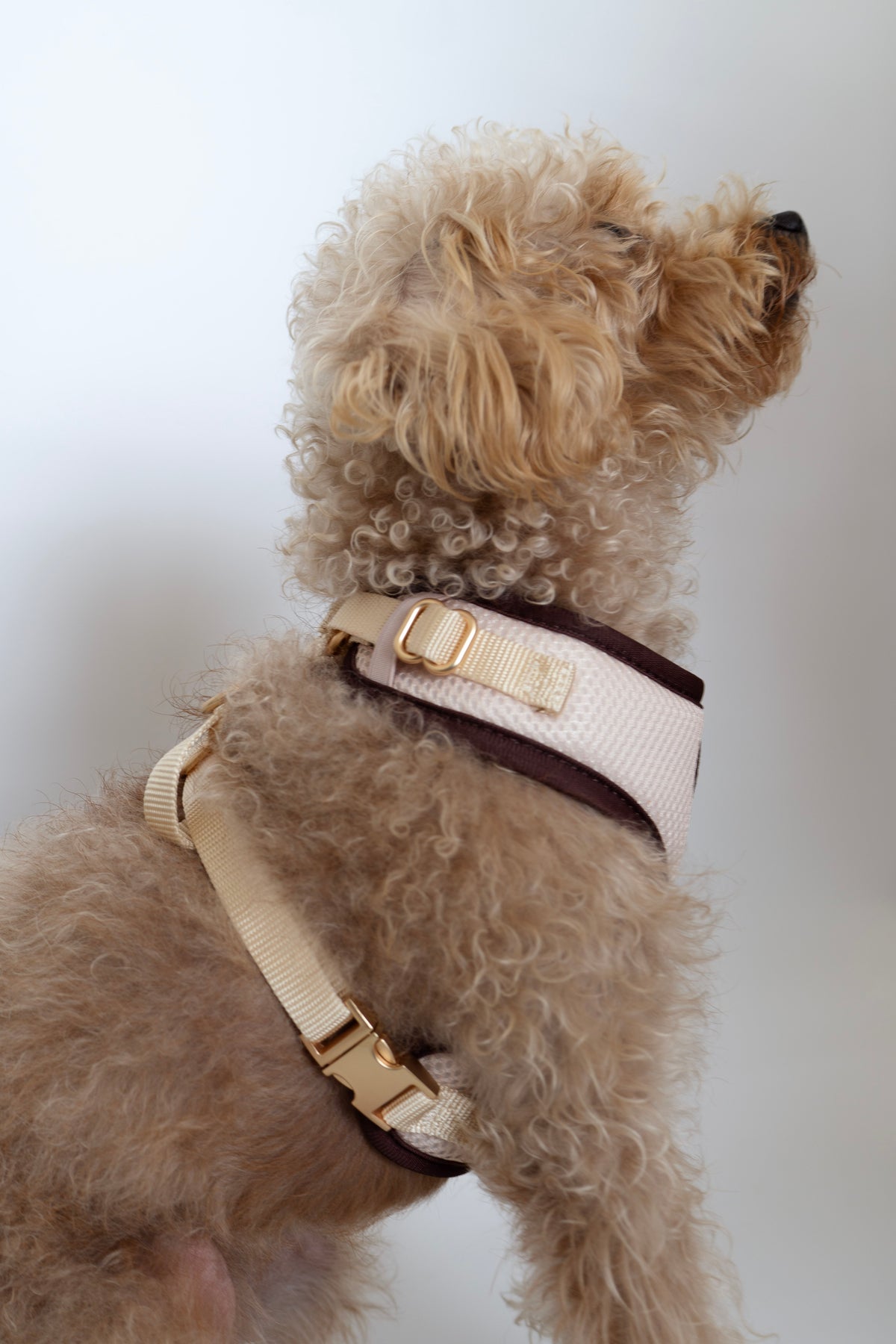 RIMAL Harness